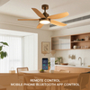 Custom-designed 42 Ceiling Fan Lights LED Mute Luxury Decorative for Commercial Living Room Remote Control Switch