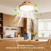 Hot Sale Invisible Fan Blades Fan Lights Ceiling Lamp Ceiling Light With Fan at Good Price 45cm