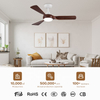 Fan Lamp Lighting Beautiful Ceiling Fan with Decorative Lights Dark Wood Blades White Body