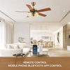 Modern Home High End Luxury Led Flower Shaped Chandelier Remote Control Ceiling Fan with Light