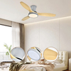Modern Art Deco Fan Led Lamp 52 Inch bluetooth Wood Ceiling Fan Lights for Living Room
