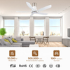 Modern Nordic Living Room Lamp Beautiful Ceiling Fan with Remote Control Ceiling Fan with Light