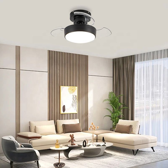 Beautiful Invisible Bldc Led Mini Plastic Ceiling Fan Blade with Light Remote Control Black Colour