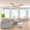China Dc Ceiling Fan Electric Residential Smart Remote Control Ceiling Fan for Home Decoration