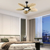 Customized Ceiling Fan Energy Conservation Air Cooling Low Noise LED Lighting Fan