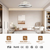 Morden New Smart Fancy Electric Double Ring Led Light Ceiling Fan with Light for Bedroom