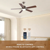 American Indoor Remote Control Fandelier Fan Lamp Luxury Remote Led Ceiling Fan with Light