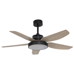 Custom-designed 42 Ceiling Fan Lights LED Mute Luxury Decorative for Commercial Living Room Remote Control Switch