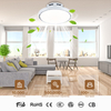 Hot Sale Invisible Fan Blades Fan Lights Ceiling Lamp Ceiling Light With Fan at Good Price 45cm