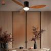 Decorative Mute 3 Blade Deluxe Solid Indoor Remote Control ABS Modern Ceiling Fan with Light