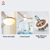Decorative Mute 3 Blade Deluxe Solid Indoor Remote Control ABS Modern Ceiling Fan with Light