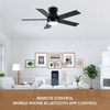 Smart Control Simple 52inche Dc Indoor Led Bldc Ceiling Fan with Lights and Remote Modern