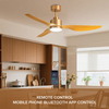 Modern Gold LED Ceiling Fan with 3 Solid Wood Blades and 6 Speed Remote Control Noiseless DC Motor for Living Room