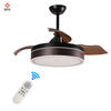 Decorative Remote Control Invisible Black Smart Retractable Modern Ceiling Fan With Light