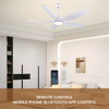 Modern Indoor Led Dimmable Ceiling Fan Lamp White Light with Led Light and Remote Control