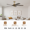 Best Quality Modern Fashionable Decorative Indoor Remote Control Ceiling Fan Wooden Five Blade