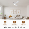 Modern Lighting Decoration Home Lamp Remote Control 52inch Ceiling Fan Light for Living Room