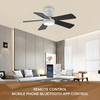 Commercial Energy Saving Smart 42 Inch Black 5 Blade Ceiling Fan Dimble Led Lights with Fan