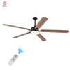 Multifunction Lamp Ceiling Fan Bedroom Ceiling Fan with Led Lights Remote Control