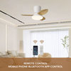 Modern Design Energy-Saving Electric Fan Household Electrical Appliance LED All-Black All-White Ceiling Fan Project Installation