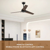 Decorate Low Energy Dc Ac Ceiling Fan 3 Blade 52inch Bldc Smart Fan with Remote Control