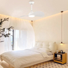 Fan Inch Modern Design Ceiling Fan With Lamp Remote Control 2 Blades Ceiling Fan Lights Ventilador