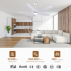 60" Abs Body Led Ceiling White Speaker Remote Control Fan Light Wifi Smart Chilling Fan Light