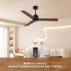 Morden Smart Remote Control 52 Inch Bldc Ceiling Fan 3 Wood Blades Ceiling Fan for Home