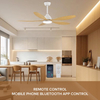 Electrical Gadgets Decorative Indoor Ceiling Smart Home Lights Fan with Light with App Control