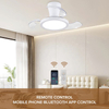 Design Modern Smart Remote Control LED Ceiling Fan Decorated Lights with Retractable Blades