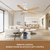 Ceiling Fan Manufacturer in China Classic Large 5 Bladesdecorative Ceiling Fan Ceiling Fan From Wood