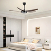 Living Room Lighting Decorate Dc Ceiling Fan Dimmable Light Led Lamp for Home Ceiling with Fan