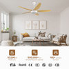 Office Traditional Smart Remote Control Chandelier Led Ceiling Fan Light Lamps with Lights