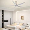 Attractive Modern 58 Inch 5 Blades Led Ceiling Fan Smart Light with 3 Color Remote Control