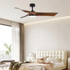 3 Blade 52inch Electric Fan Lamp Modern Smart Abs Ceiling Fan with Light Remote Control