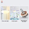 Nordic Living Room Bedroom Dimmer Fans Bedroom Decor Light Led Remote Ceiling Fans with Lights