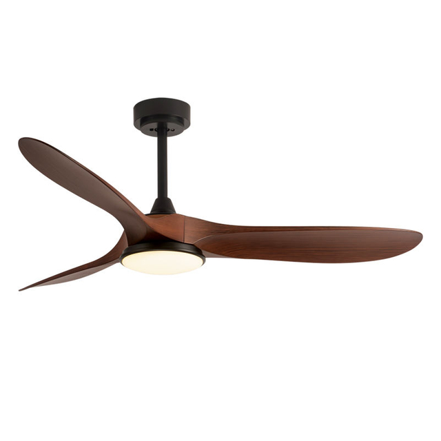 Direct Sale 56-Inch Modern Mute ABS Ceiling Fan Light Frequency Conversion Remote Control Electric Power Source US Metal Box