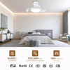 Modern Decorative Remote Control Smart Invisible Small Ceiling Fan with Led Light Remote Control