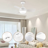 Fan Led Lamp 3 Blade Black Modern 36 Inch Small Size Ceiling Fan with Remote Control Light
