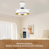 Decorative Bedroom Dc Small Invisible Led Smart Ceiling Lamp Light with Fan for Living Room