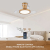 Smart Retractable Invisible Electric Fan Light Remote Control Led Ceiling Fan with Lighting