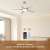 Indoor Smart 60 Inches Low Noise 220 Ceiling Fan Led Lamp Light for Dining Room with Fan