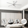 Wholesale Zhonshan Original Smart Bldc 54inch 5 Abs Blade Ceiling Fan with Remote Control