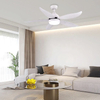 Modern Household Decorative Remote Control Lamps Ceiling Fan Light Led with Fan for Kitchen