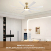 Modern Simple Style Smart 8 Blades 65inch Dc Ceiling Lamp and Fan with Light and Remote Control