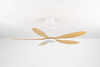 Malaysia Hot Sale Silent 56 Inch 55W DC Copper Motor Five Indoor Ceiling Fan for Living Room