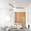 Hot Sale Contemporary 52 InchCeiling Light Fan Combo Light Ceiling Wood with Lights Large