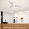 Decorative Indoor Smart Silent 3 Abs Blade Dc Bldc 52 Inches Ceiling Fans with Remote Control