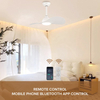 Fan Inch Modern Design Ceiling Fan With Lamp Remote Control 2 Blades Ceiling Fan Lights Ventilador