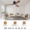 Led Lamp Bldc Motor Light Fan Lamp Led Ceiling Fan with Lighting and Remove Control for Kitchen